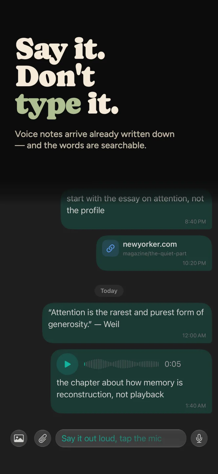 Say it. Don't type it.